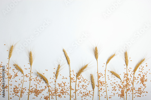 Spikelets of wheat and grains on a light background