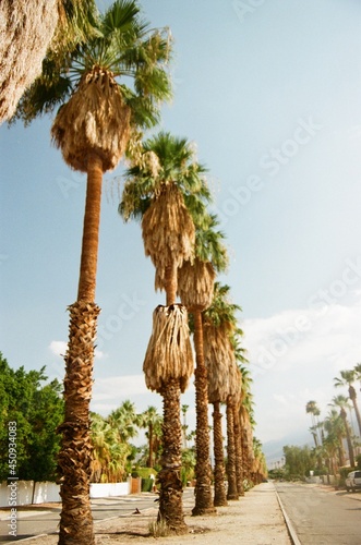 Palm Springs, California