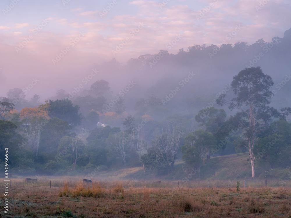 Misty Farmland Morning