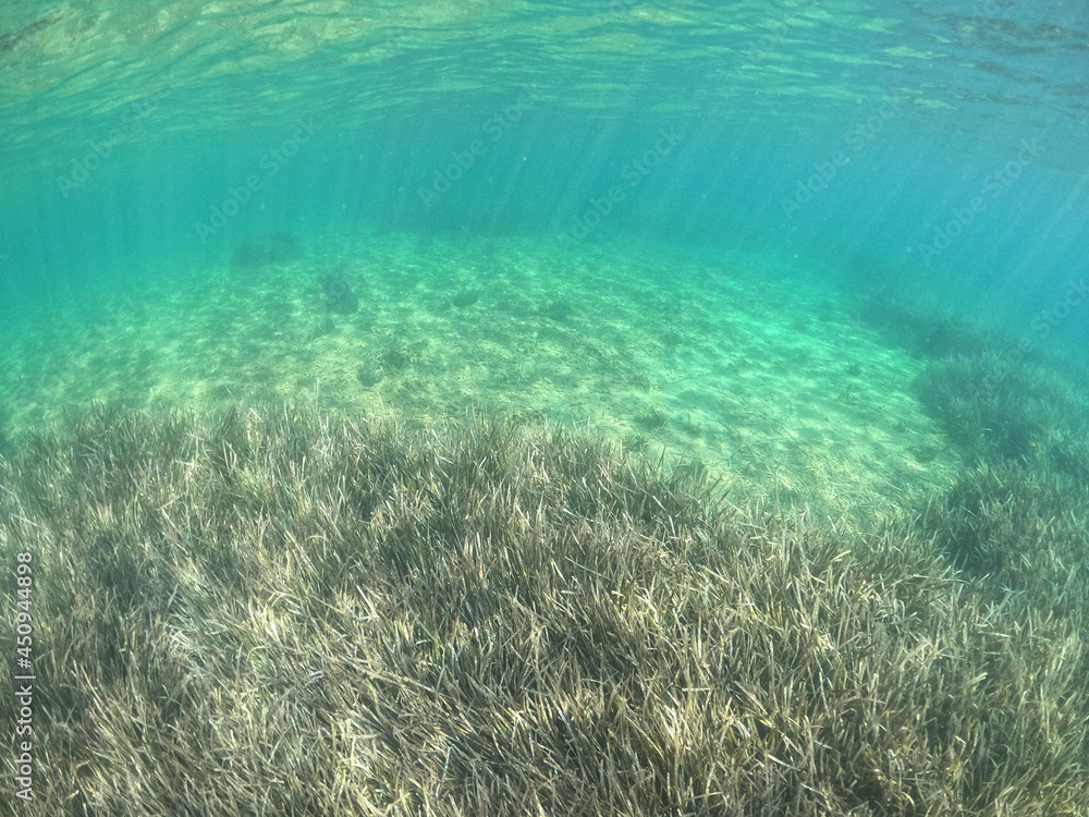Fototapeta premium Underwater world of Mediterranean Sea. Near Marmaris, Turkey
