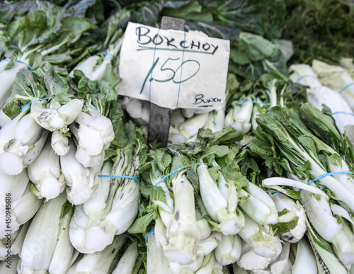 San Francisco Farmer's Market - Bok Choy for sale for $1.50 a bunch