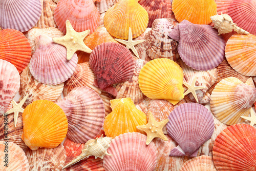 Top view of beautiful different seashells and starfishes as background