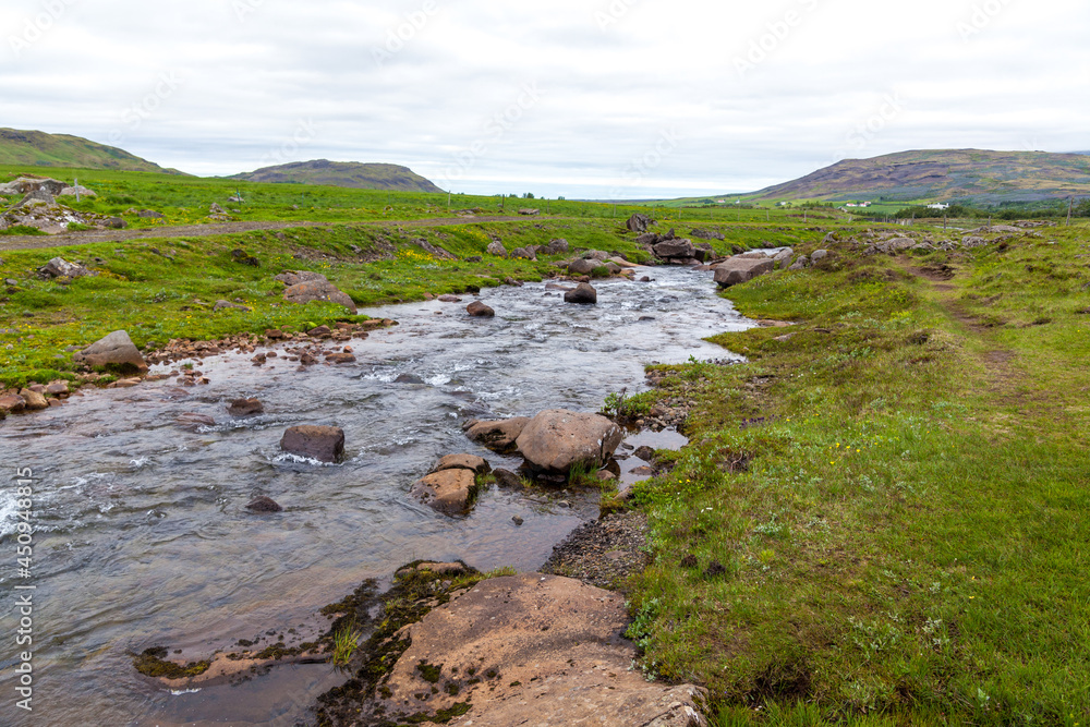 Summer Iceland panorama on river shore among green grassland and lupins. Summer Iceland panorama on river shore among green grassland and lupins.