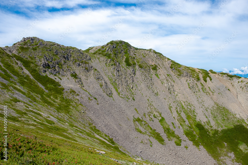 Obraz premium 綺麗なカール