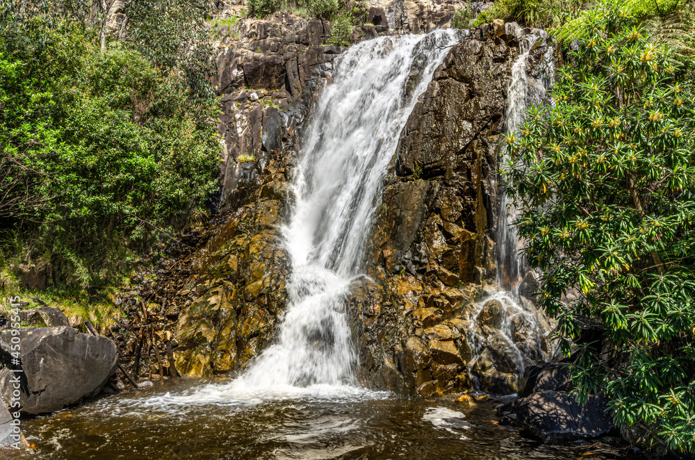 Steavenson Falls Close