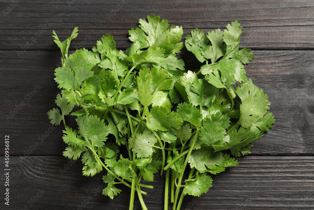 Bunch of fresh green cilantro on black wooden table, top view Bunch of fresh green cilantro on black wooden table, top view