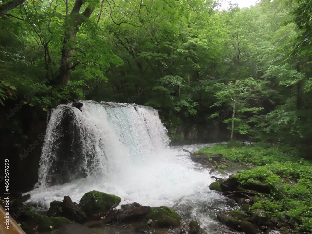 Obraz premium 中尊寺、奥入瀬渓流、田沢湖