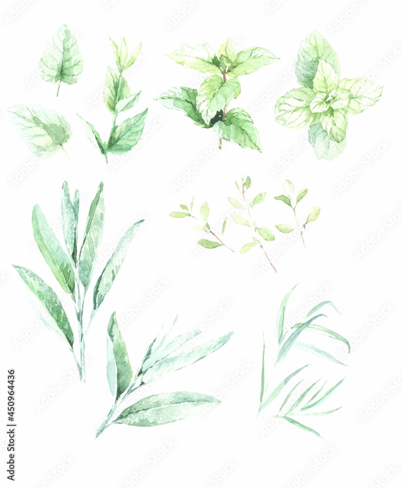 Fototapeta premium set watercolor flowers background