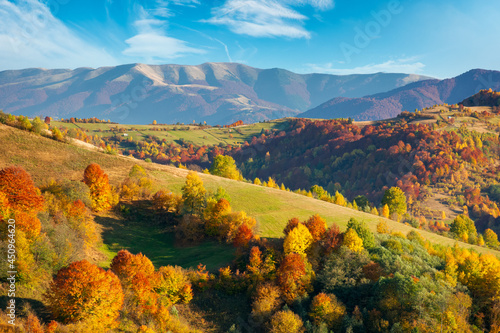 autumnal countryside of carpathian mountains. beautiful landscape in evening light. trees in colorful foliage and fields on rolling hills. ridge in the distance beneath a clouds on the sky