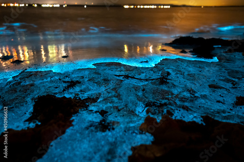Bioluminescence at night, Jervis Bay, Australia © Gary
