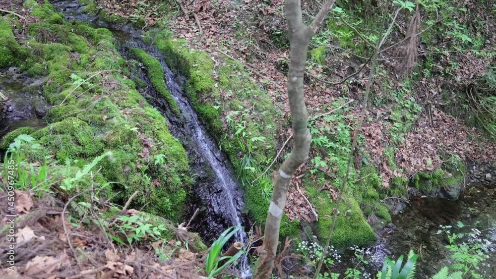 山から流れてくる一筋の小さな滝 山から流れてくる一筋の小さな滝