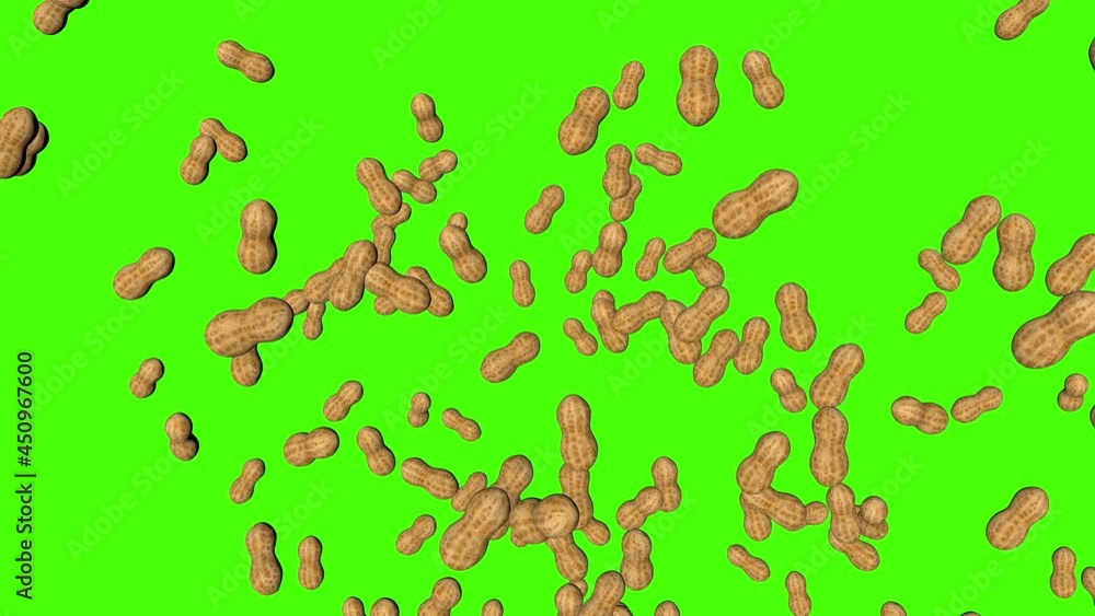3D peanuts falling animation on green screen chroma key background 3D peanuts falling animation on green screen chroma key background