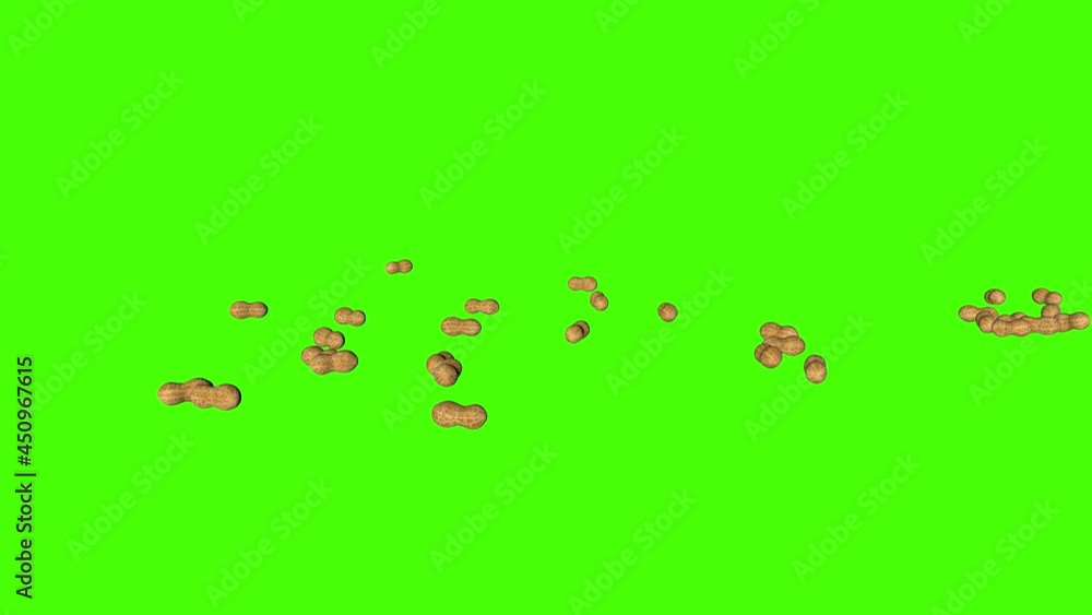 3D peanuts falling animation on green screen chroma key background 3D peanuts falling animation on green screen chroma key background