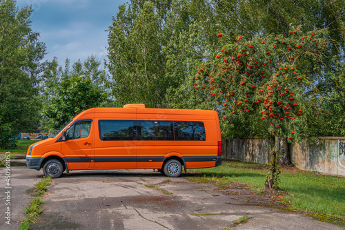 Orange bus stands under orange rowan tree.