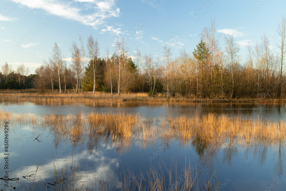 Atmospheric reflection in the lake in a wooded area.