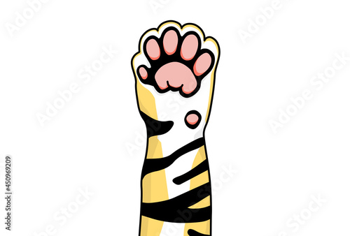 虎の前足（年賀状素材） photo