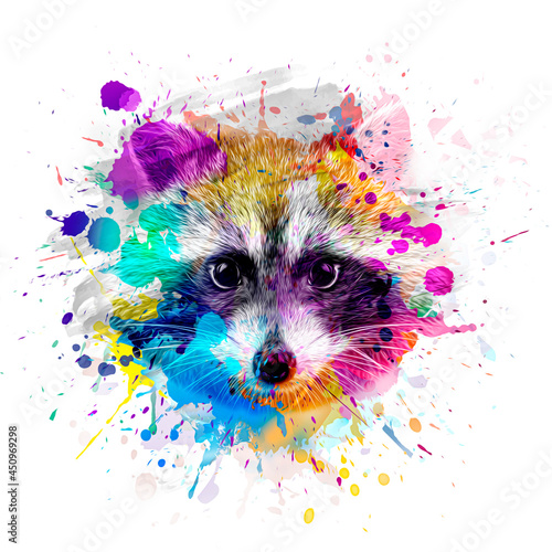 close up portrait of a raccoon
