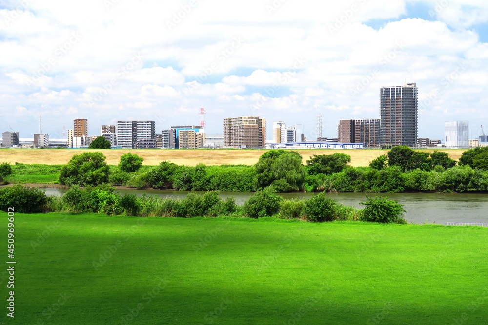 夏の江戸川土手から見るサッカー場のある河川敷風景