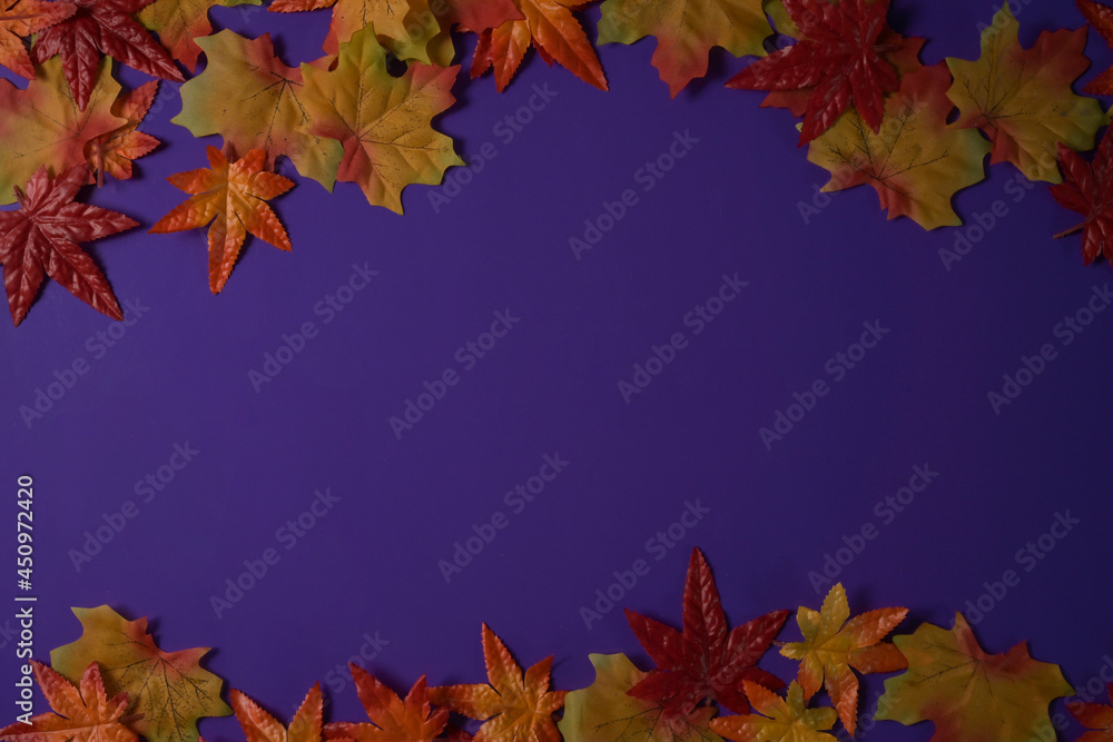 Top view with fallen maple leaves on purple background, top view, copy space. Top view with fallen maple leaves on purple background, top view, copy space.