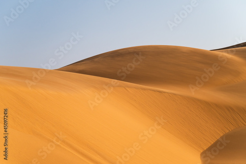 Abstract texture lines in the desert, close-up of arid land. Yellow background picture. The desert features of Africa.