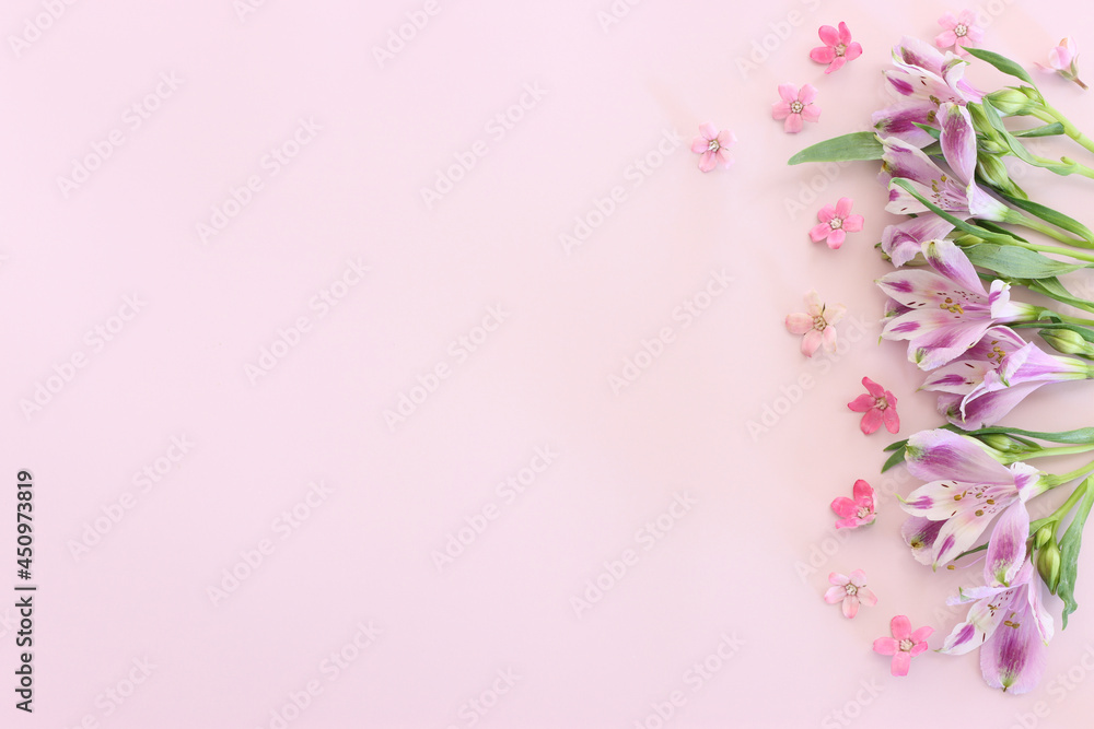 Top view image of pink and purple flowers composition over pastel background .Flat lay