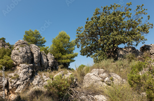 A close up in the mountain landscape of Moratalla in Spain. You can see rocks and trees. The landscape is green and the sky is blue with clouds. It is summer.