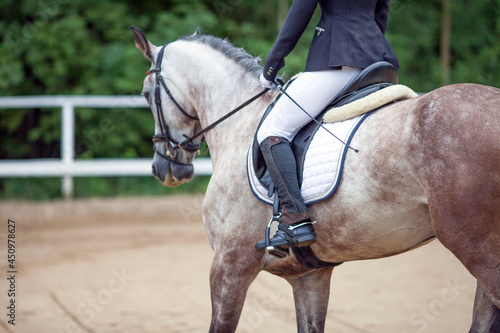 A white sports horse with a bridle and a rider riding with his foot in a boot with a spur in a stirrup.
