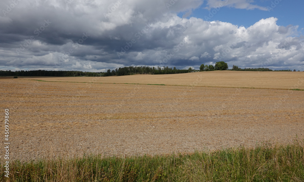 Fototapeta premium fields