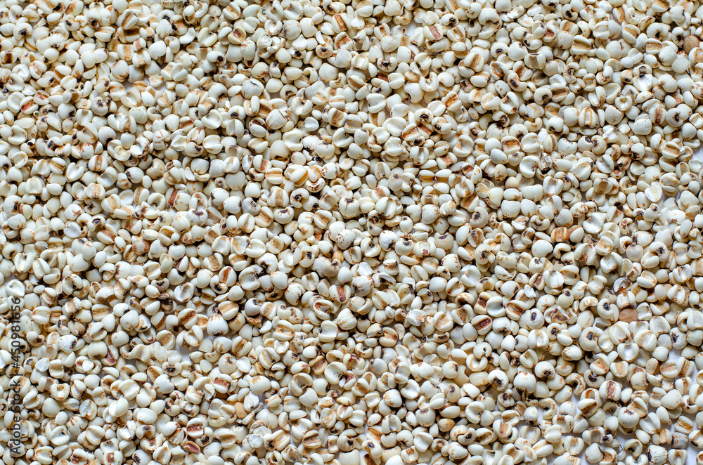 Dry organic job's tear seed background ready for healthy or diet food ingredient concept Dry organic job's tear seed background ready for healthy or diet food ingredient concept