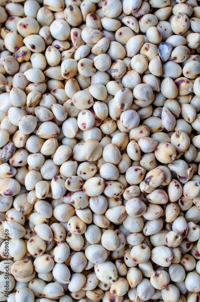 Closed up dry organic millet seed background Closed up dry organic millet seed background