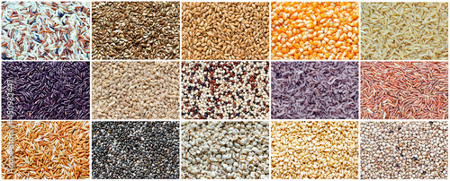 Collection of dry organic cereal and grain seed background for healthy or diet food ingredient or agricultural product concept