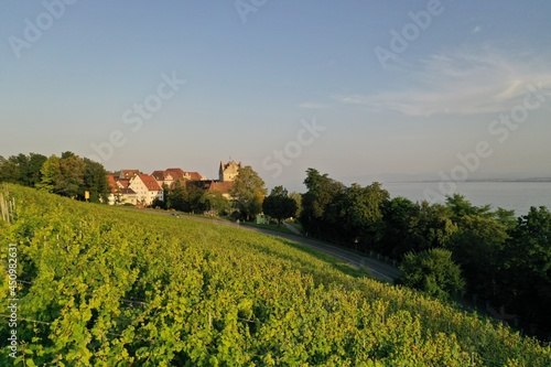 Wine in front of the Cityscape of Meersburg, Germany