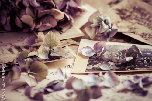 Konstfotografi Memories - old and antique family photos  dated 1930 with old photo album and dr