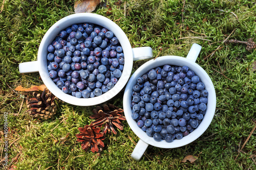 Freshly picked blueberries in bowls. Healthy eating and nutrition. Natural, ecological product for dessert, jam 
 photo