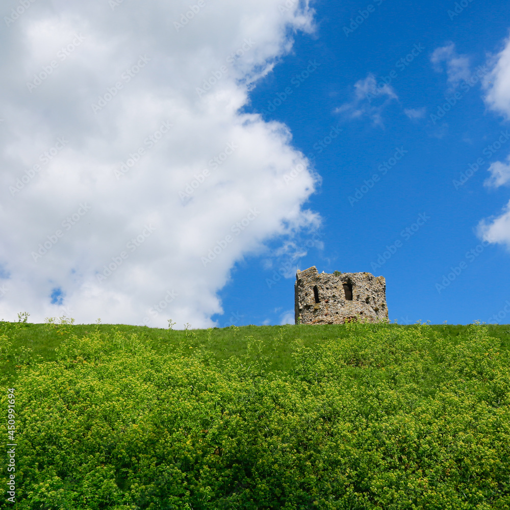 ruins of castle