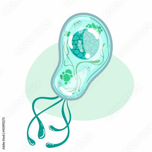 Vector illustration of bacteria. Schematic representation of a microscopic organism. Virus, microbe, molecule in cartoon flat trending style.