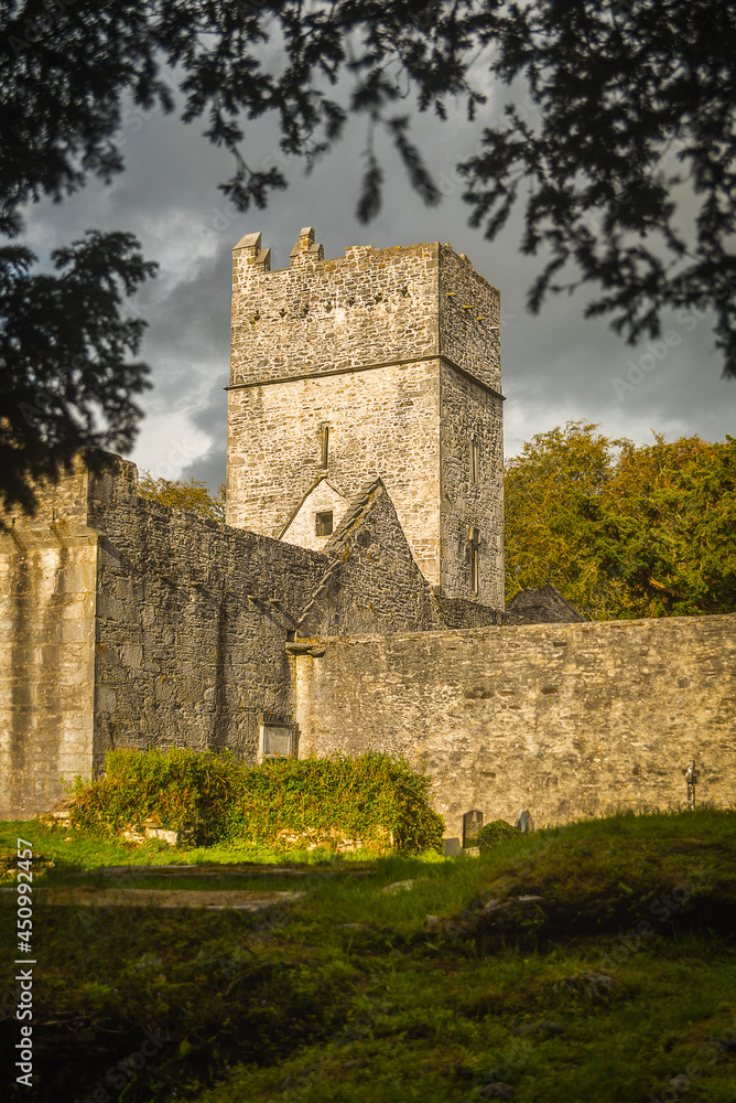 Muckross Abbey ruin in Ireland Muckross Abbey ruin in Ireland