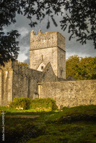 Muckross Abbey ruin in Ireland