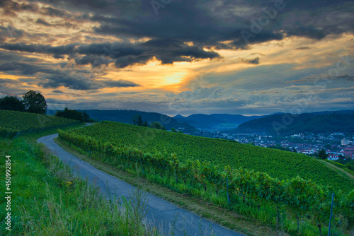 Sonnenaufgang auf dem Schutterlindenberg bei Lahr im Schwarzwald