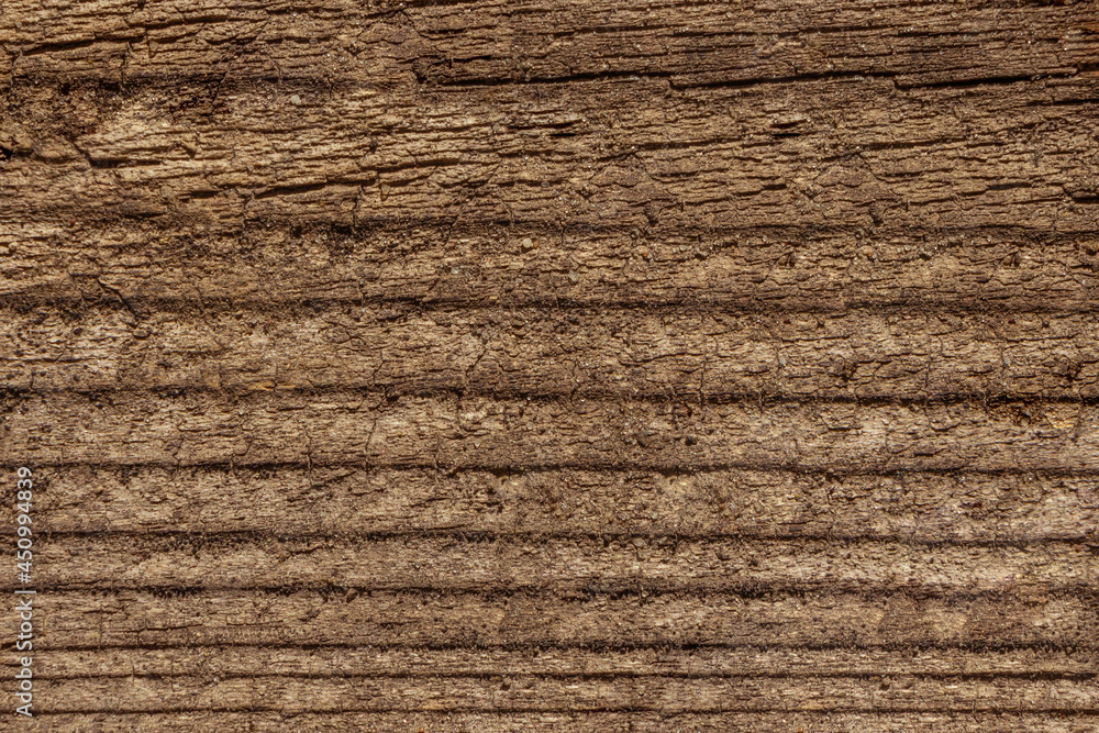 Fototapeta premium Rough background texture old porous wood