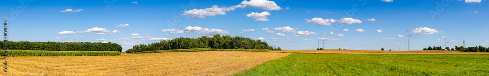 farmland on a beautiful sunny day against the background of blue sky