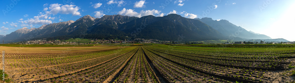 agriculture in the alps