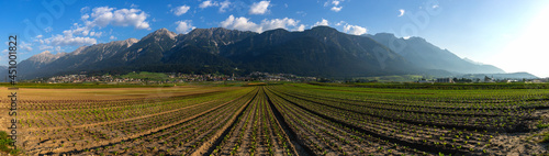 agriculture in the alps