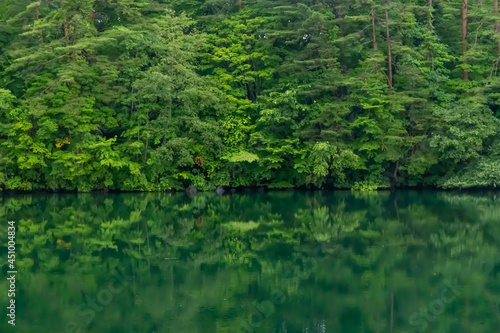 夏の緑を移す美しい五色沼の水面 © Nobby Iwata