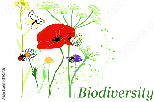 Graphic illustration showing biodiversity