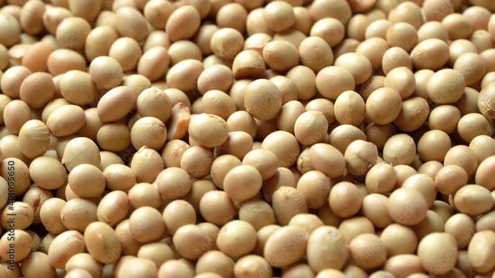 raw dry soy bean seed food organic healthy food, video footage 4k. raw dry soy bean seed food organic healthy food, video footage 4k.