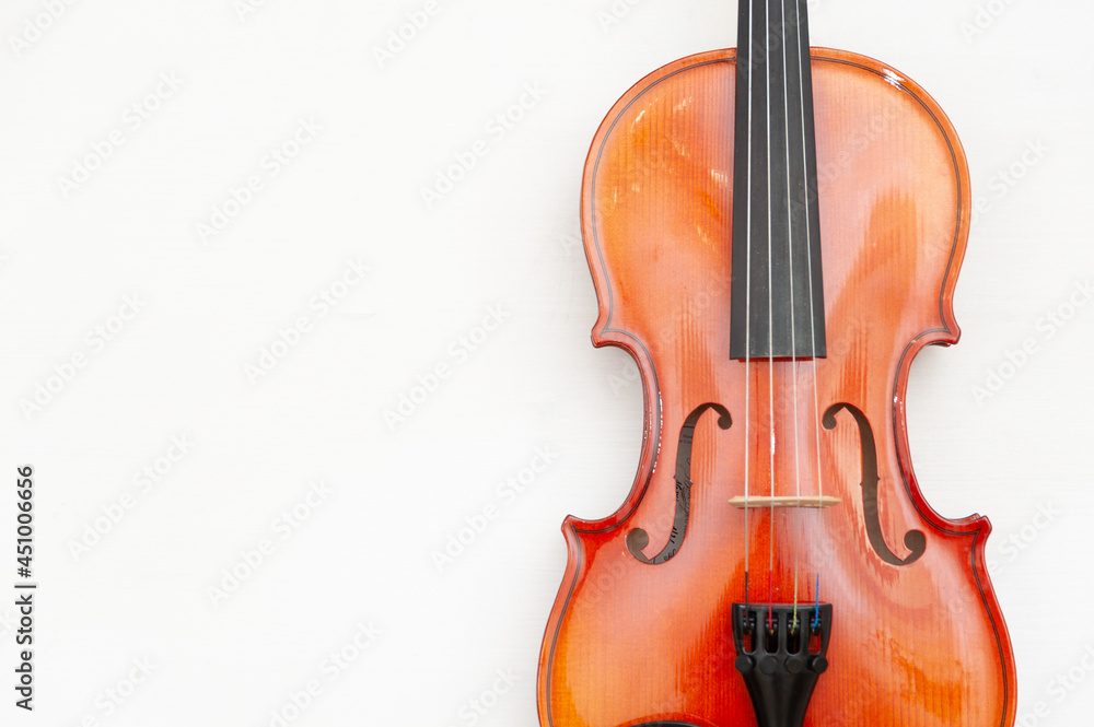 Close-up of the violin. Stringed musical instruments. A violin on a white background. Close-up of the violin. Stringed musical instruments. A violin on a white background.