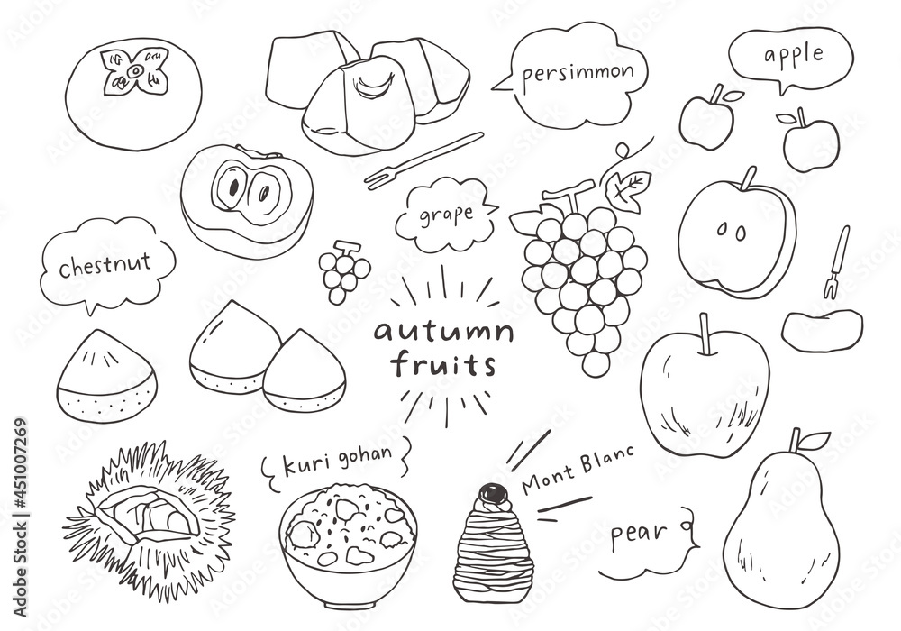 秋の果物の手描きイラストセット モノクロ Stock Vector Adobe Stock