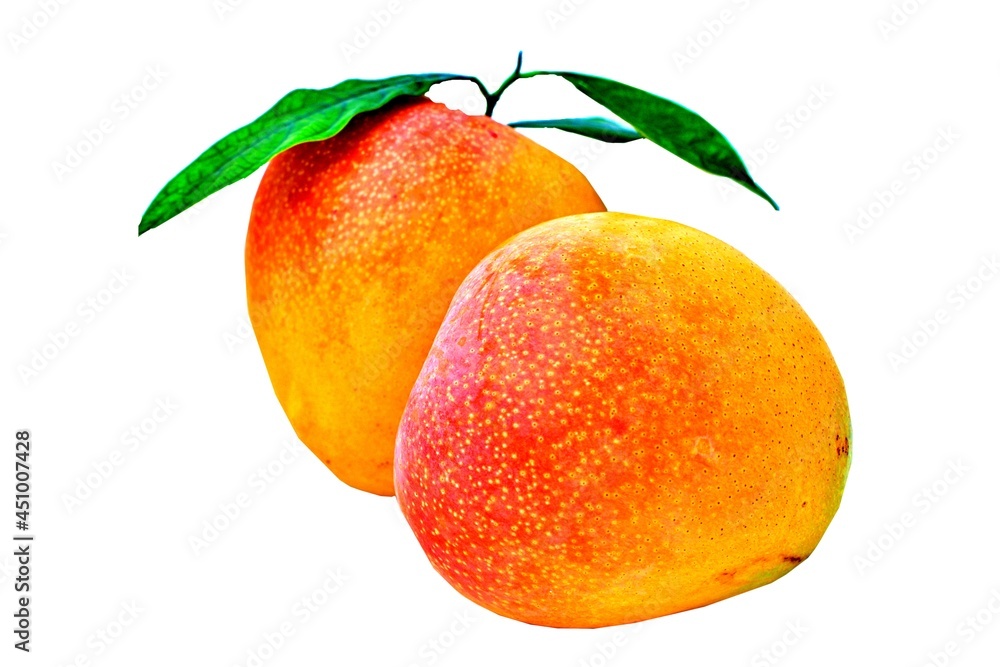 mango isolated on a white background mango isolated on a white background