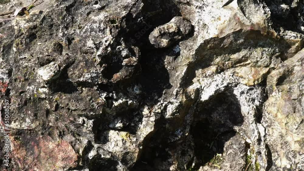 Big stone - karst limestone. Video of surface a stone Big stone - karst limestone. Video of surface a stone